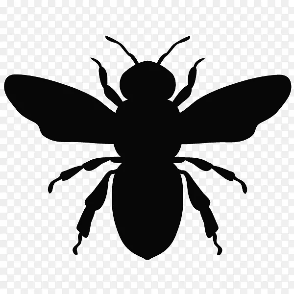 蜜蜂图形欧洲黑蜂插图-蜜蜂