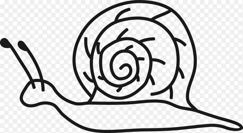 剪贴画蜗牛素描画册图片-蜗牛