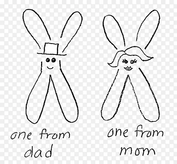 家兔染色体遗传学图.染色体结构