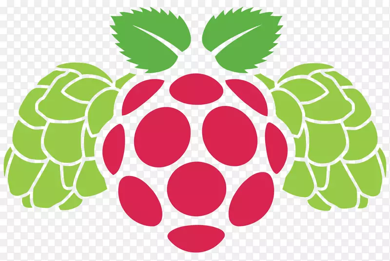 raspberry pi剪贴画图形png图片徽标-raspberry