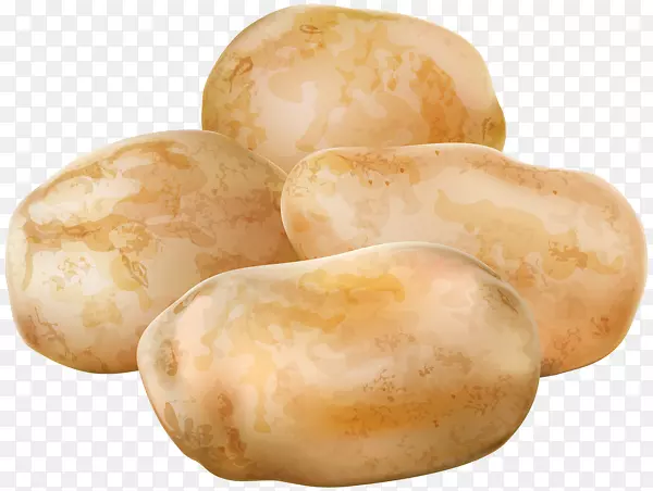 剪贴画图像png图片russet Burbank土豆透明度-芦笋