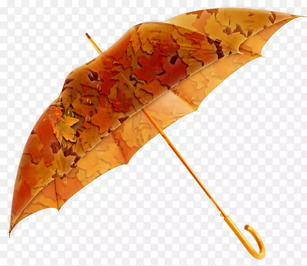 雨伞Amazon.com雨具防水-雨伞