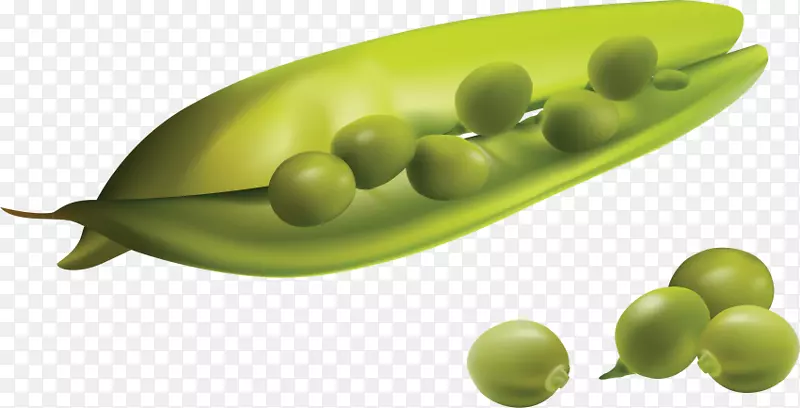 豌豆蔬菜图形png图片图像豌豆