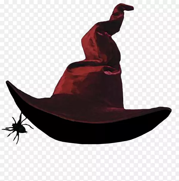 女巫帽，巫术服装，КосовоПоле(Радиоверсия)-帽子