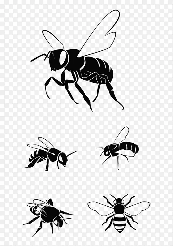 西方蜜蜂剪贴画图形插图-蜜蜂