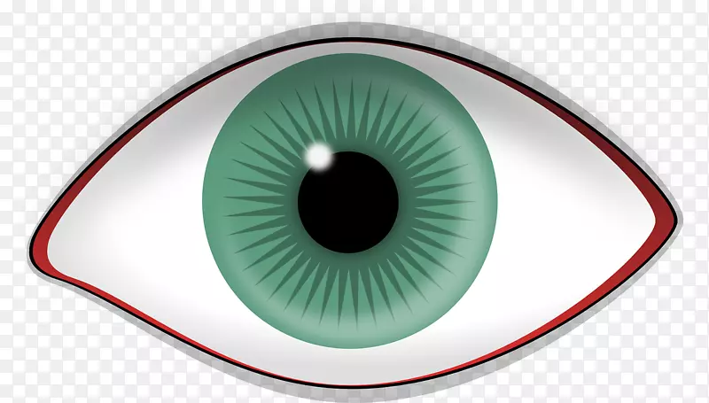虹膜人眼视网膜视觉知觉-眼睛
