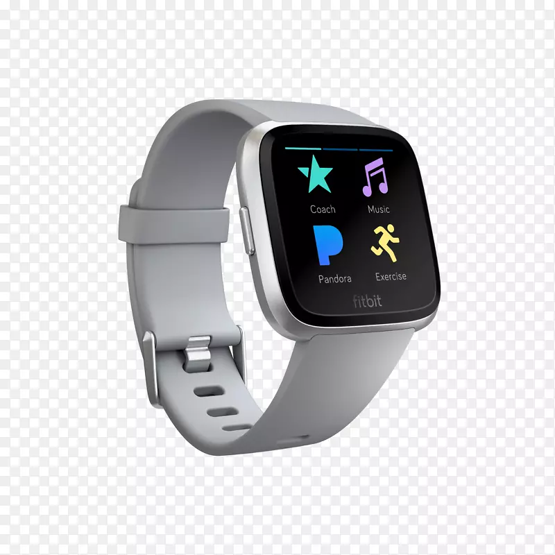 Fitbit相反智能手表身体健康活动监测器-Fitbit