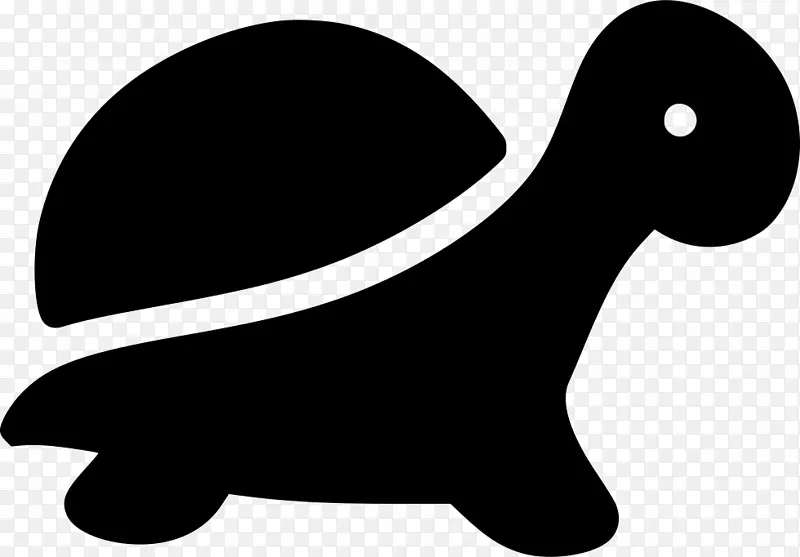 剪贴画加拉帕戈斯冒险公司佩克加拉帕戈斯群岛爱-富兰克林海龟