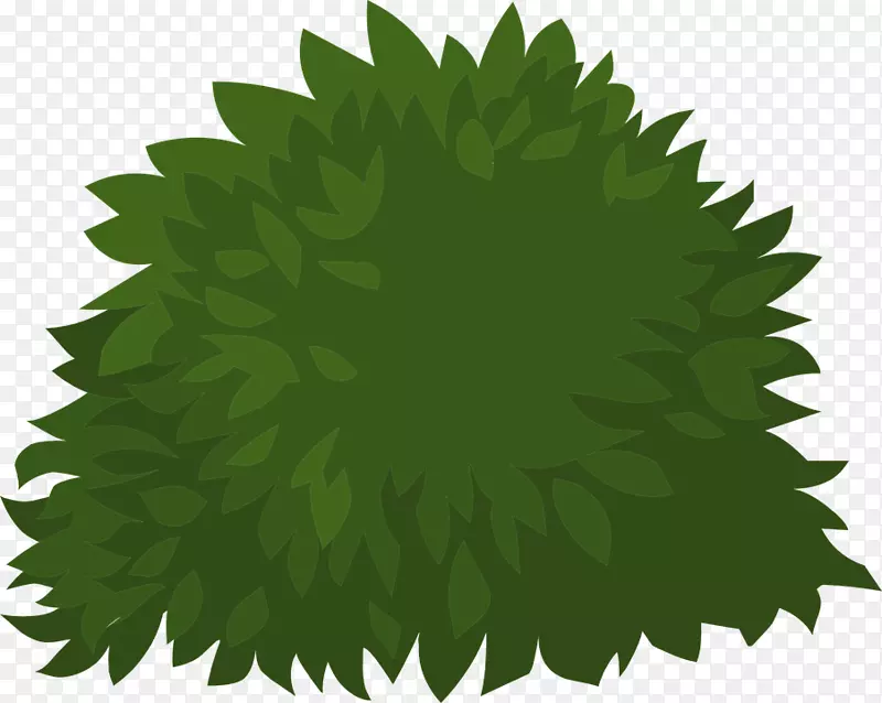 图形剪辑艺术图像插图灌木植物PNG图片素材下载_图片编号5952267-PNG素材网