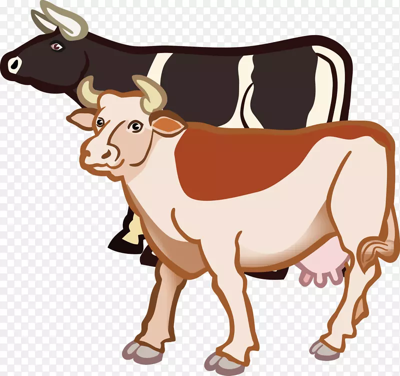 得克萨斯州长角牛磺酸牛、荷斯坦牛、弗里西亚牛、剪贴画、乳牛-背景