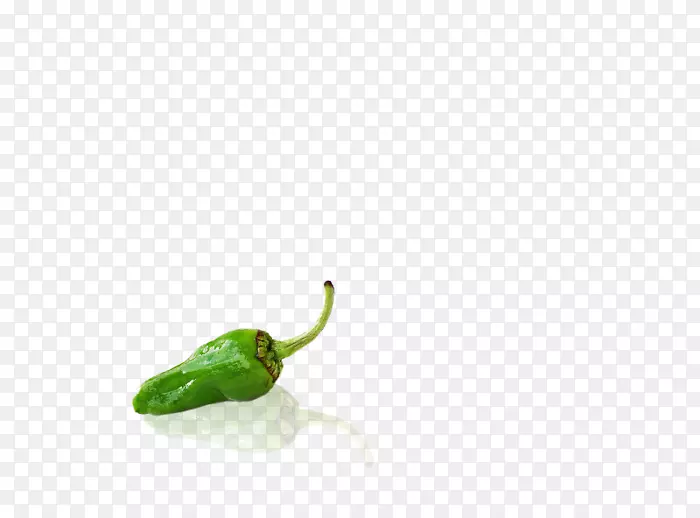 墨西哥辣椒，花椒