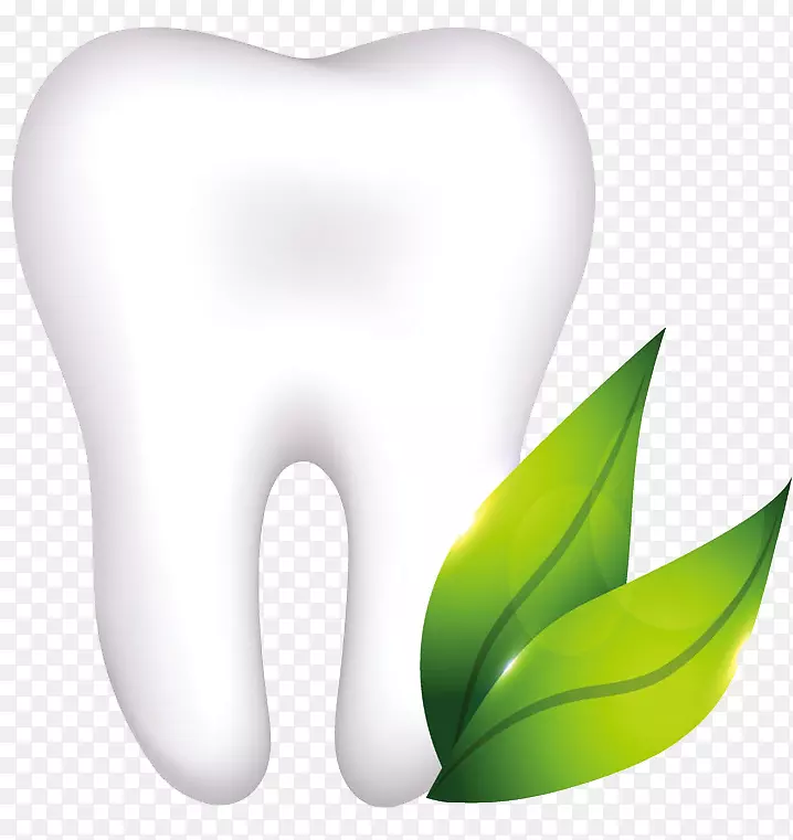人牙，牙种植体，牙解剖-牙齿