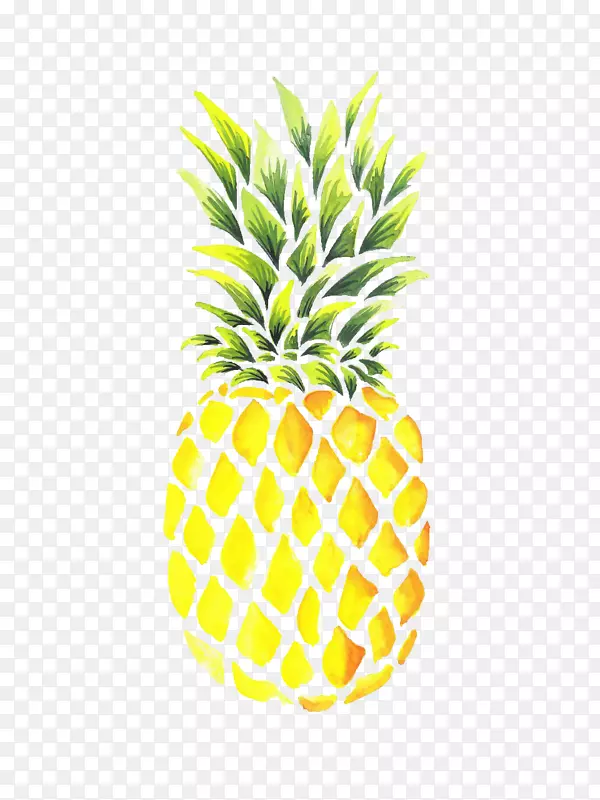 菠萝水彩画png图片图像-菠萝