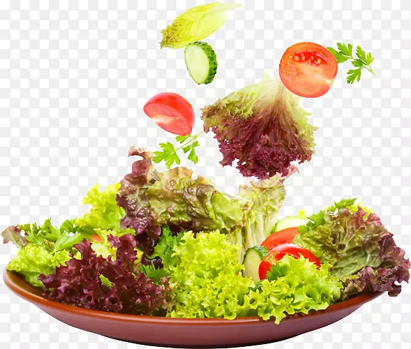 色拉调味品蔬菜降压Babaji印度菜-色拉