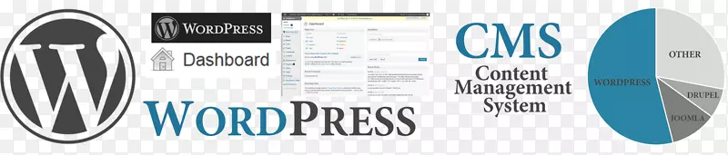 WordPress：掌握产品设计的完整初学者指南，品牌平装书-WordPress