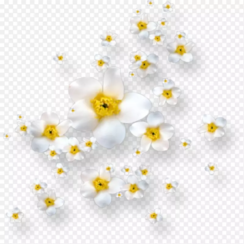 png图片花卉图像剪贴画花