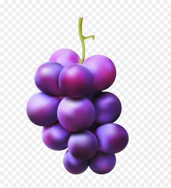 葡萄汁图形图像红色全球葡萄
