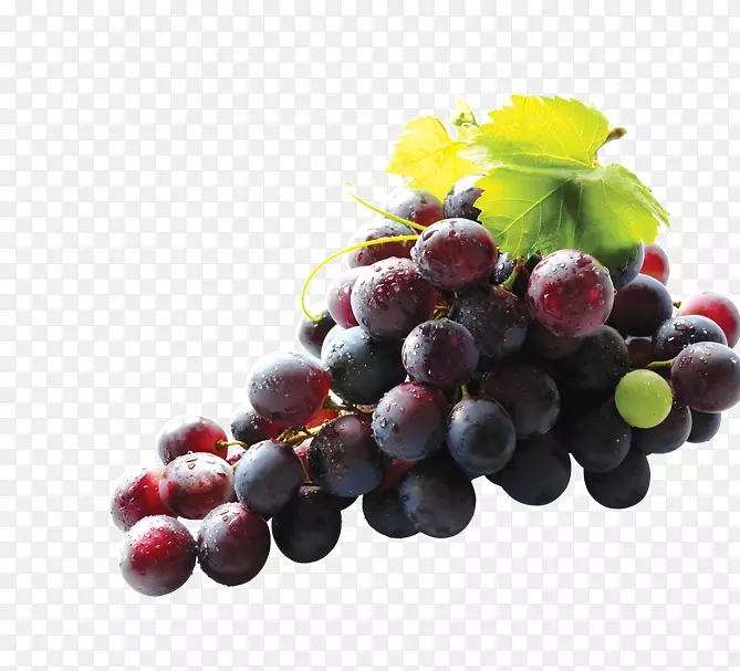 普通葡萄藤红宝石葡萄籽提取物营养葡萄