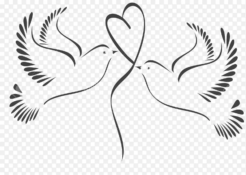 鸽子和鸽子剪贴画婚礼图形插图-婚礼
