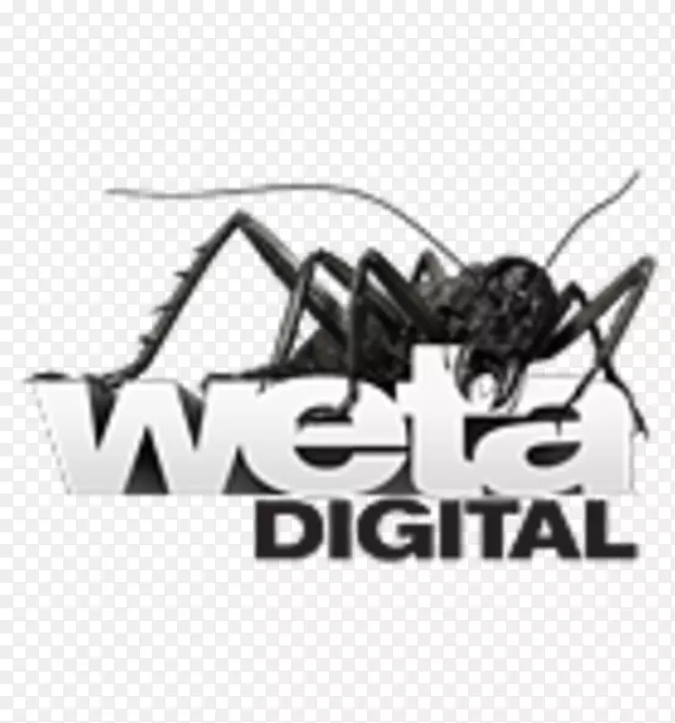 Weta数码经验丰富的电脑动画标志，指环王-指环王