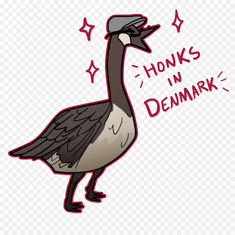 鹅鸭海鸟动物图-鹅