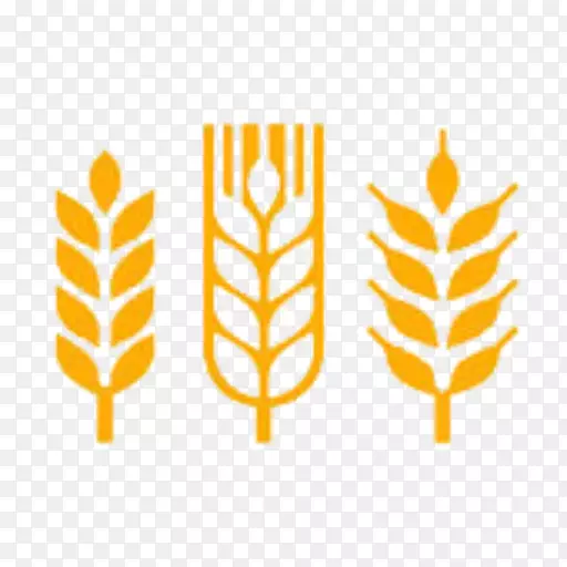 图形小麦插图免版税小麦