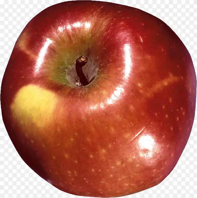 红苹果剪贴画万维网苹果