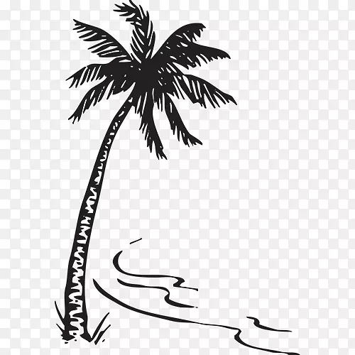 龙舌兰棕榈树婴儿公告圣安布卢瓦，嘉德花椰菜-棕榈树剪贴画
