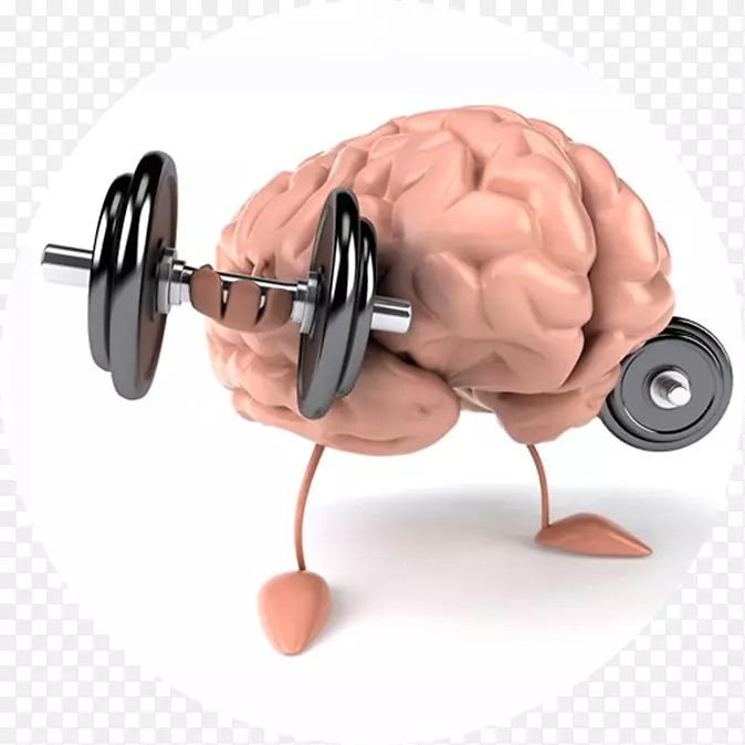 大脑肌肉、精神、体力、健康-脑