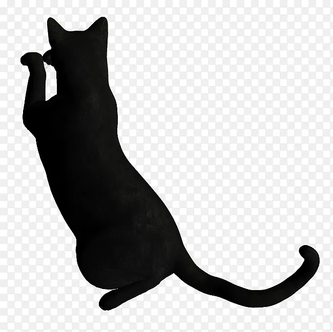 胡须猫字体尾黑色m-猫