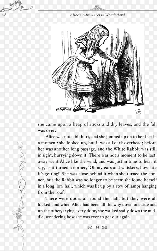 爱丽丝在仙境中的冒险画插图-爱丽丝透过镜子