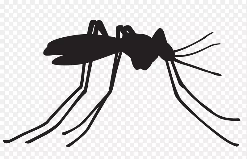 登革热媒介蚊虫控制疟疾蚊子传播疾病媒介