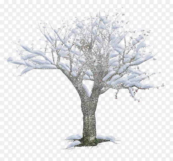 冬雪树