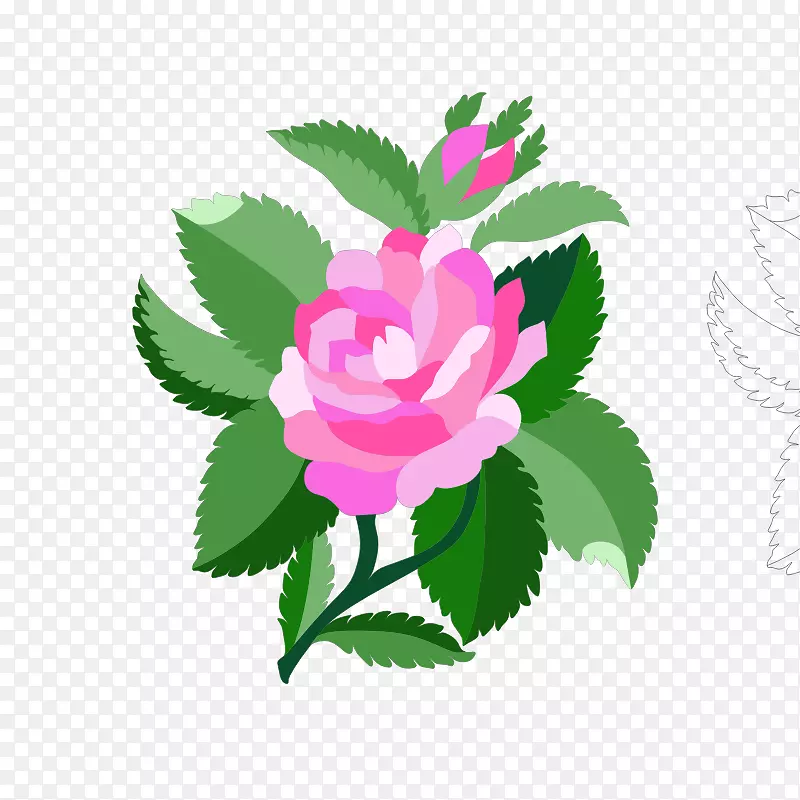 剪贴画金丝缎玫瑰花开放部分图形图像.花缎玫瑰