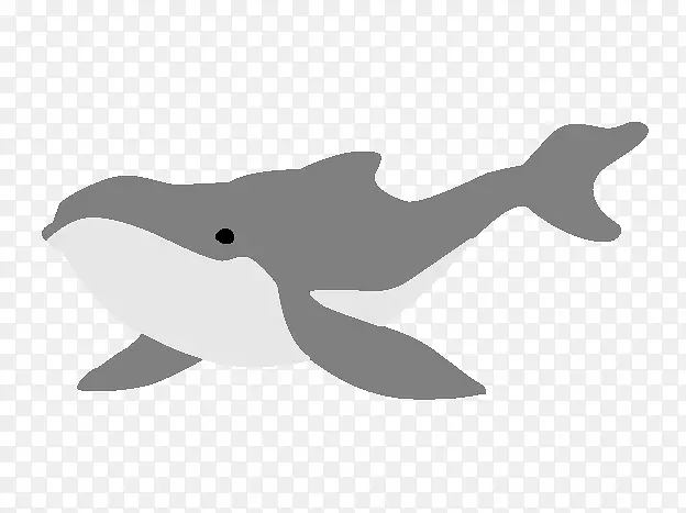 图库西鲸、海豚、虎鲸、座头鲸、海豚