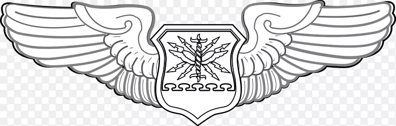 美利坚合众国飞行护士徽章空勤人员徽章-军装