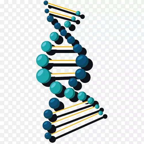 dna核酸双螺旋基因科学