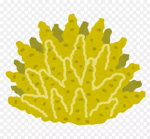 珊瑚礁外附宝石芥末-把它涂成黄色
