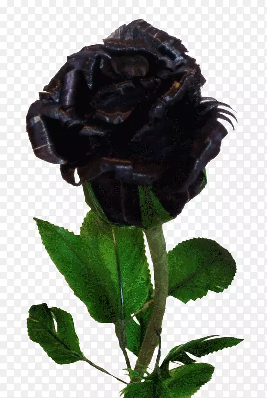 黑色玫瑰花桌面壁纸黄玫瑰