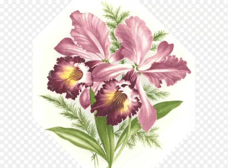 剪贴画，切花，花卉设计，花瓶，花束，紫色兰花