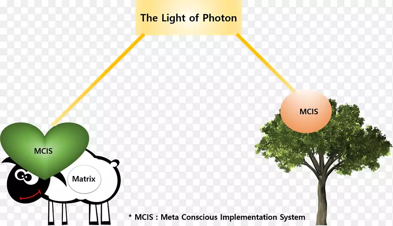 光光子树植物意识-光