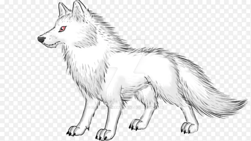 犬种阿拉斯加冻原狼画红狐卡丽娜哈勒狗