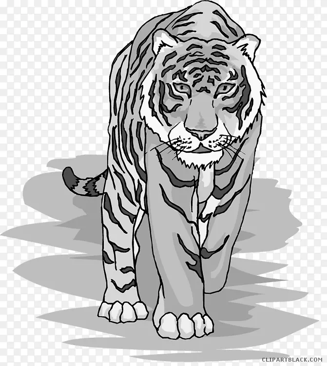 西伯利亚虎夹艺术开放部分孟加拉虎猫