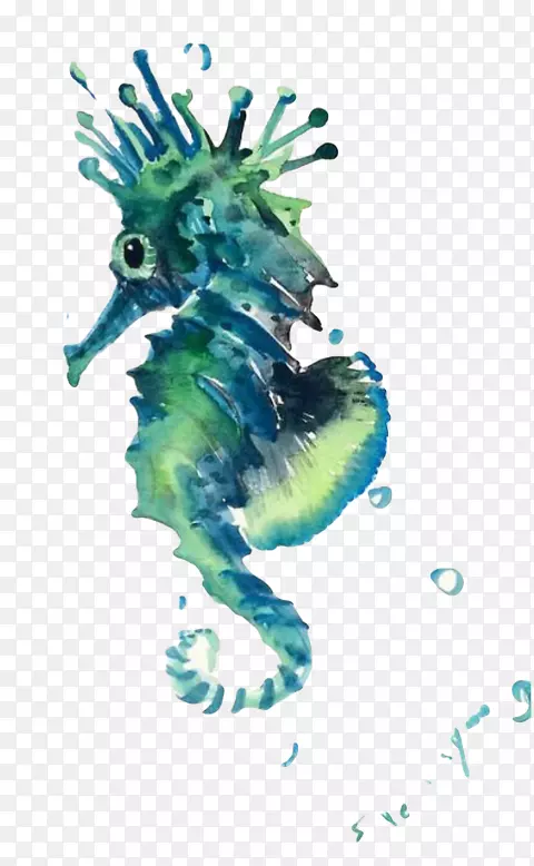 海马海洋生物水彩画-海马