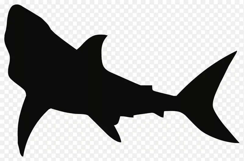 大白鲨剪贴画图片-鲨鱼