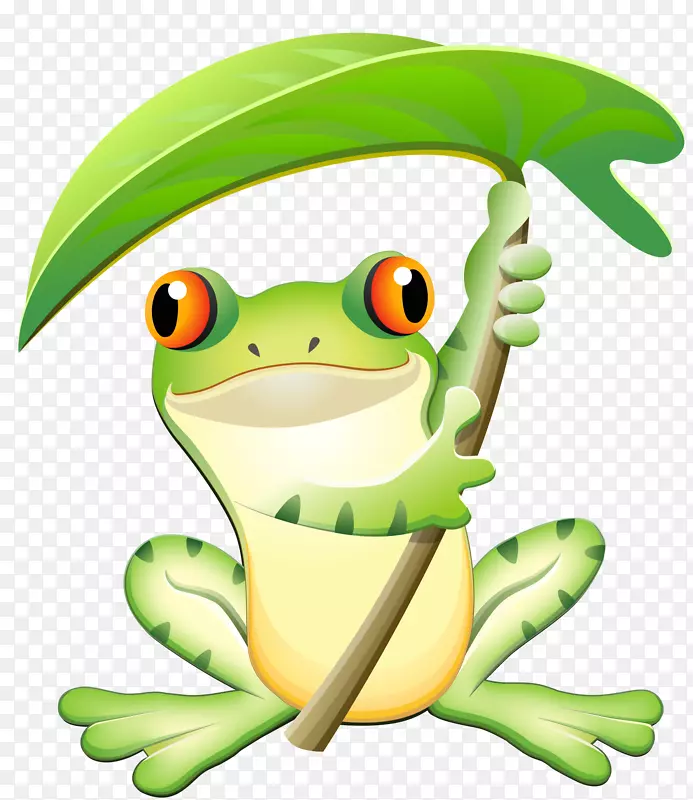 树蛙健康真正的青蛙疗法-青蛙