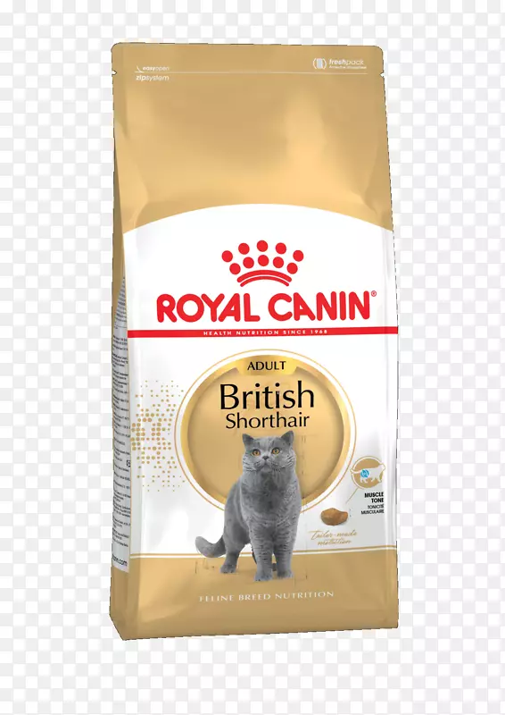 英国速记皇家犬类猫食波斯猫狗