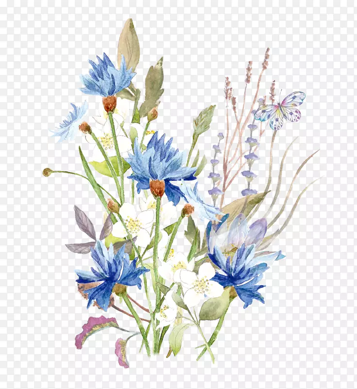 水彩画图像png图片花卉设计图形装饰水彩