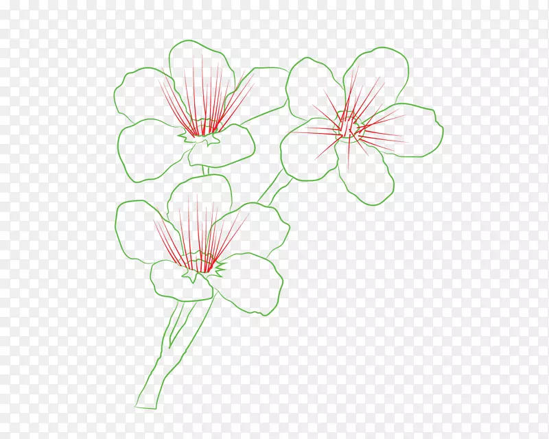 花卉设计切花植物茎-如何画皇后