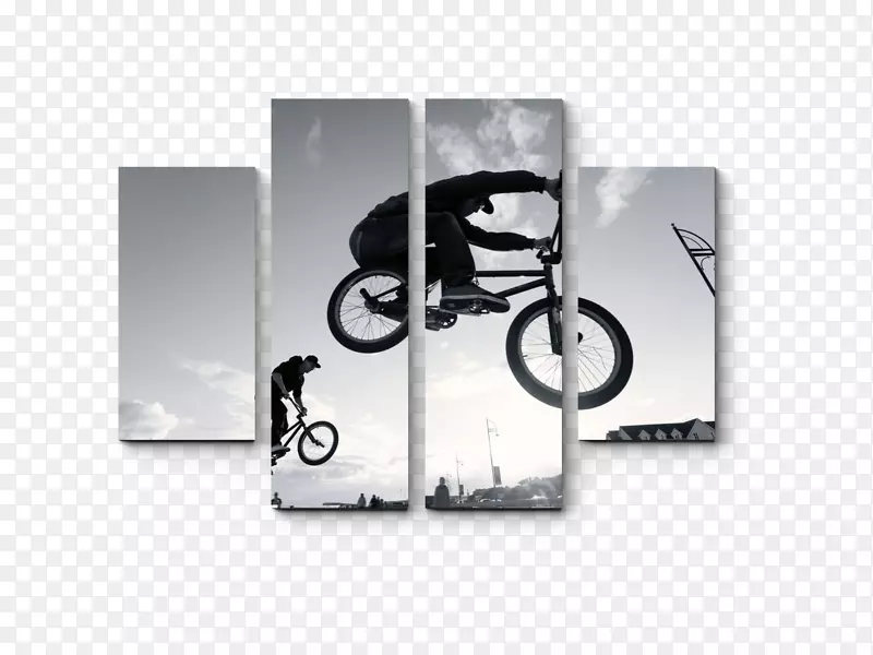 BMX自行车古董画PowerDirector-BMX骑手